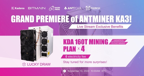 Oberste neue Bergwerksmaschine KD6 KD Bitmain Antminer KA3 166T KDA Bergmann-KA-3 3154W Kadena maximal