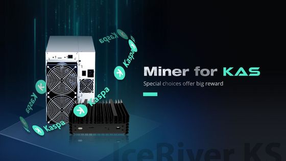 Ethernet-Verbindung KAS Miner Iceriver KS0 Pro