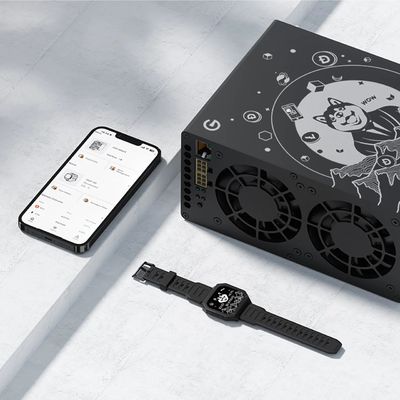 Goldshell Mini-DOGE III 650Mh/S Neuer Krypto Miner Scrypt Algorithmus LTC Doge Asic Miner