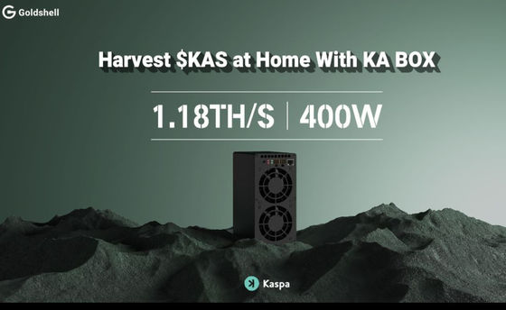 Neue Kaspa Miner KA Box Glodshell KA BOX 1.18T 400W für Kas Miner